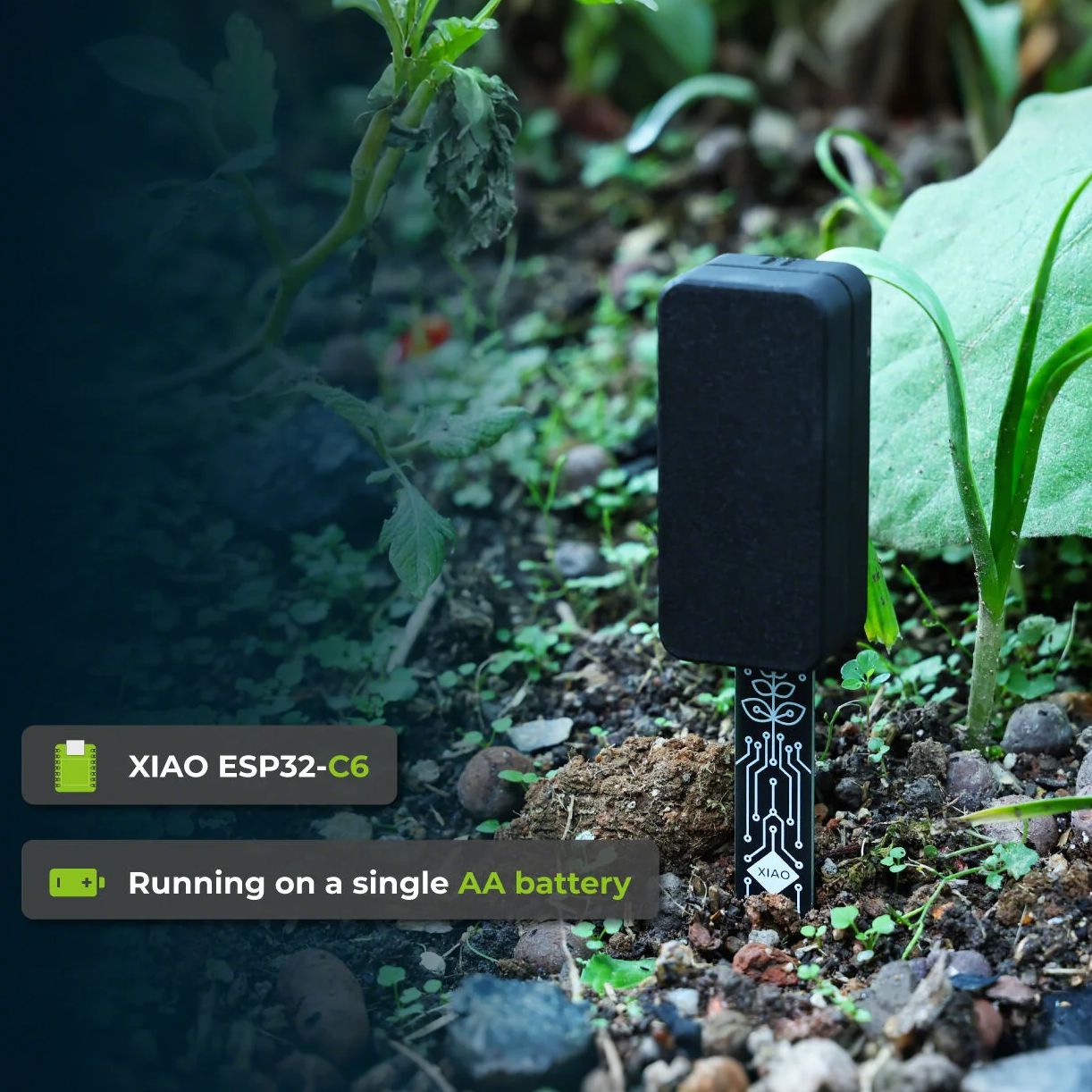 XIAO ESP32 C6 Sensor de humeda - Home Automation Tutorial reseña y precio